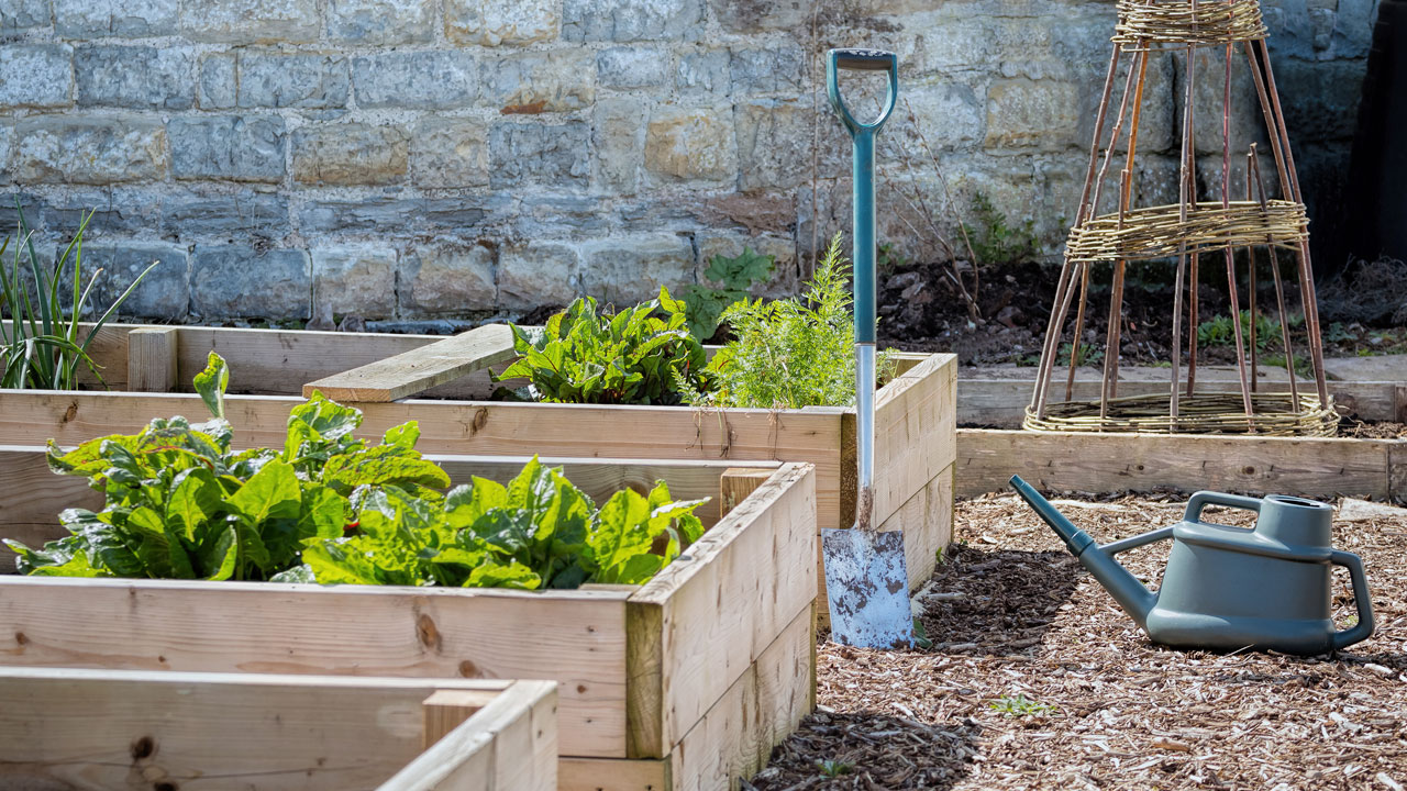 Garden Bucket Caddy - Buy Online at Annie's Annuals