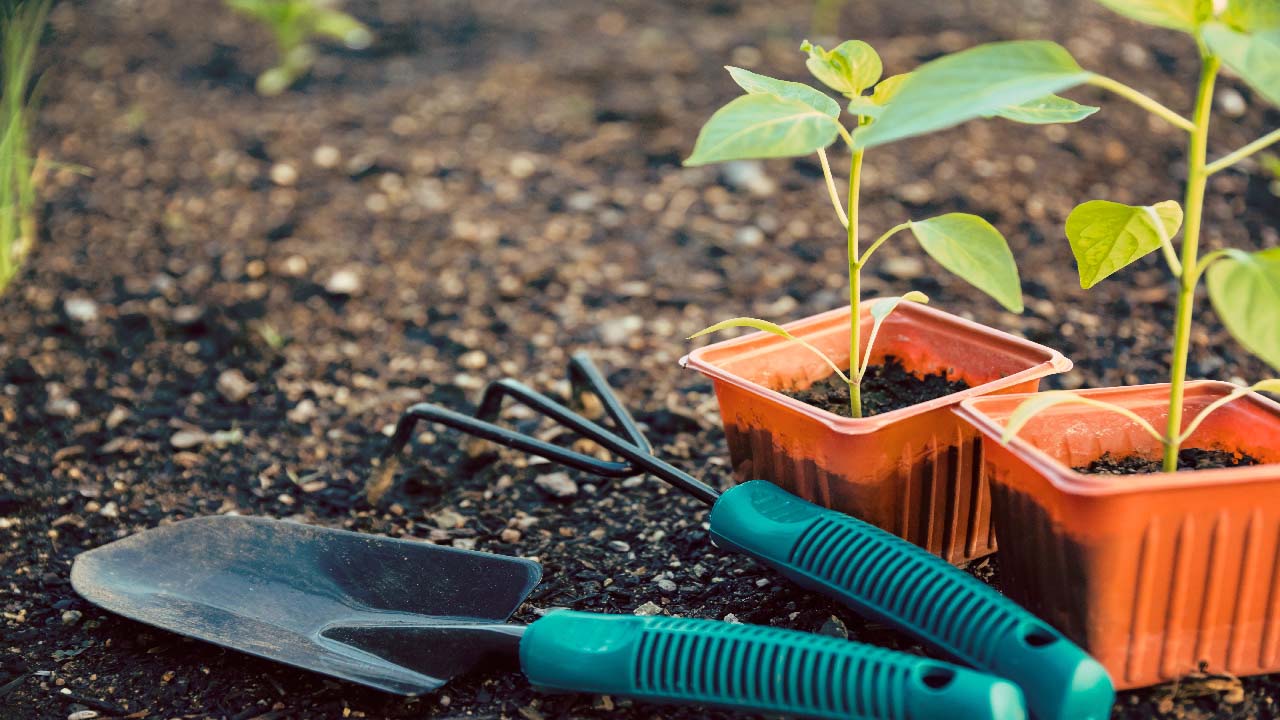 How to Maintain and Protect Your Gardening Tools