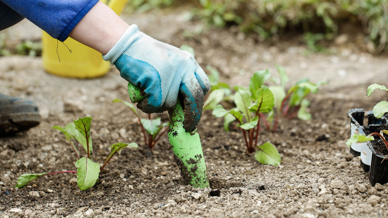 Getting Your 2018 Garden Going Getting Your 2018 Garden Going