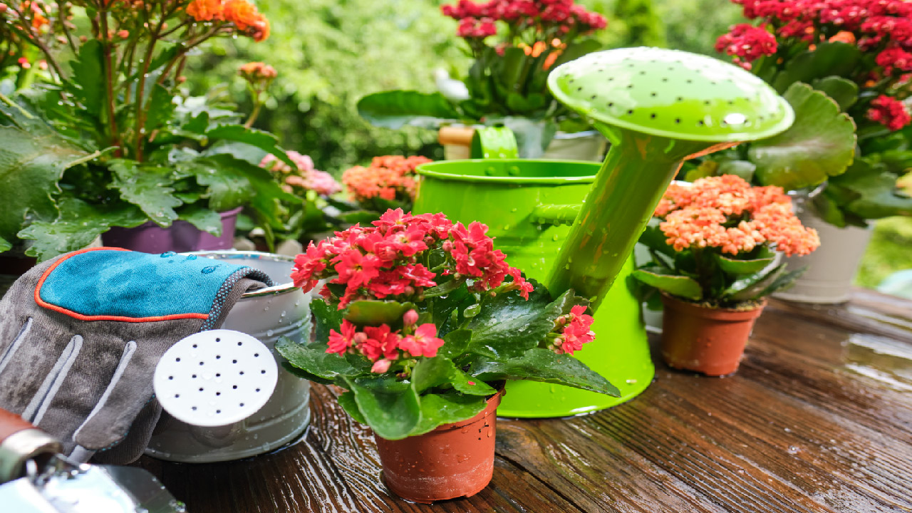 Best Gifts for a Gardener Best Gifts for a Gardener