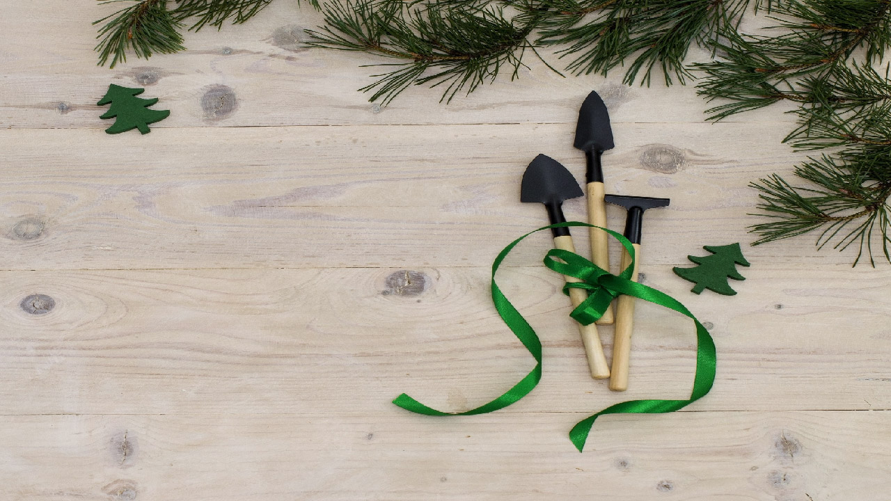 The Best Christmas Gift Ideas for Gardeners 2024 The Best Christmas Gift Ideas for Gardeners 2024