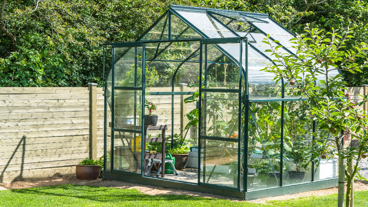 Top 10 Tips for Maintaining a Greenhouse