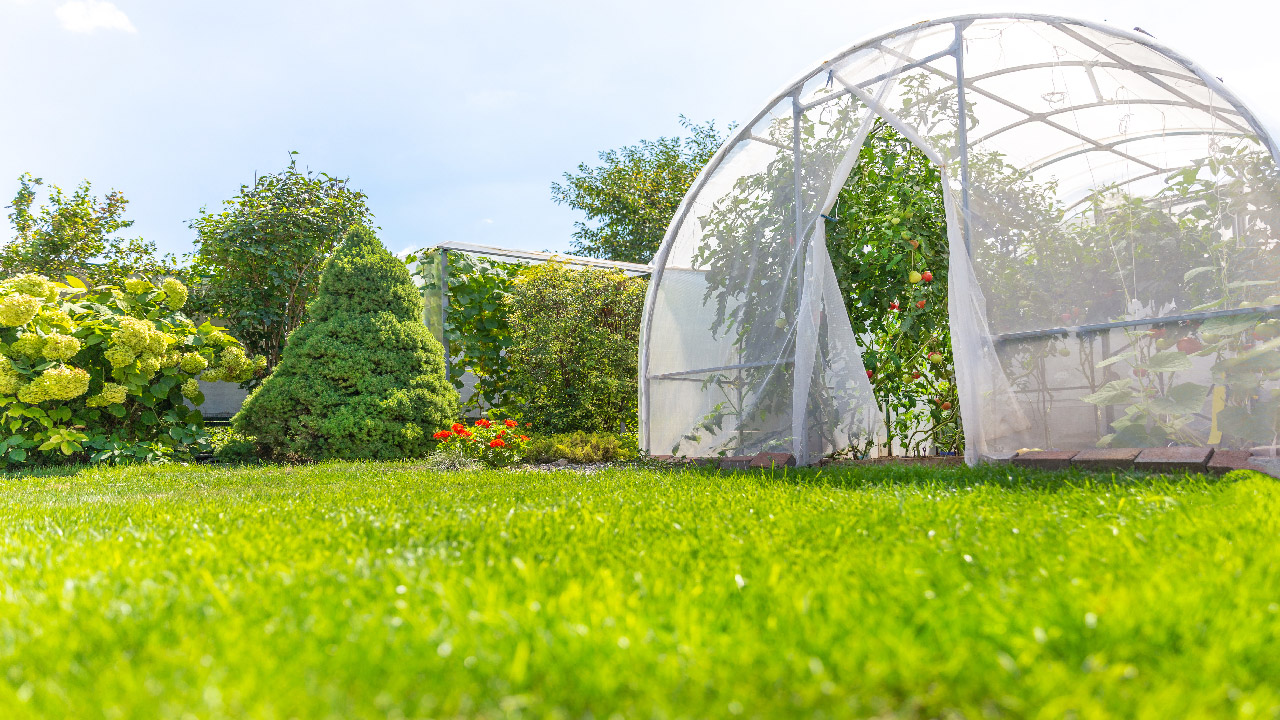 Top 7 Questions about Greenhouse Growing Top 7 Questions about Greenhouse Growing