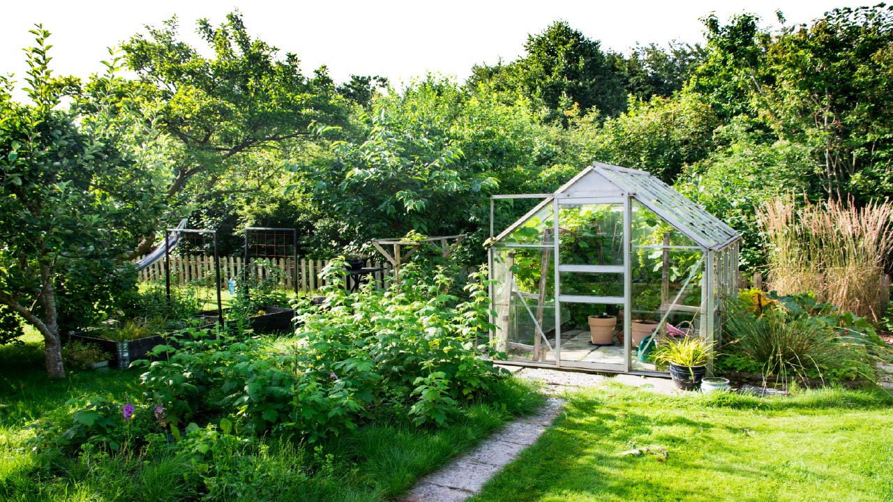 Greenhouse Gardening for Beginners