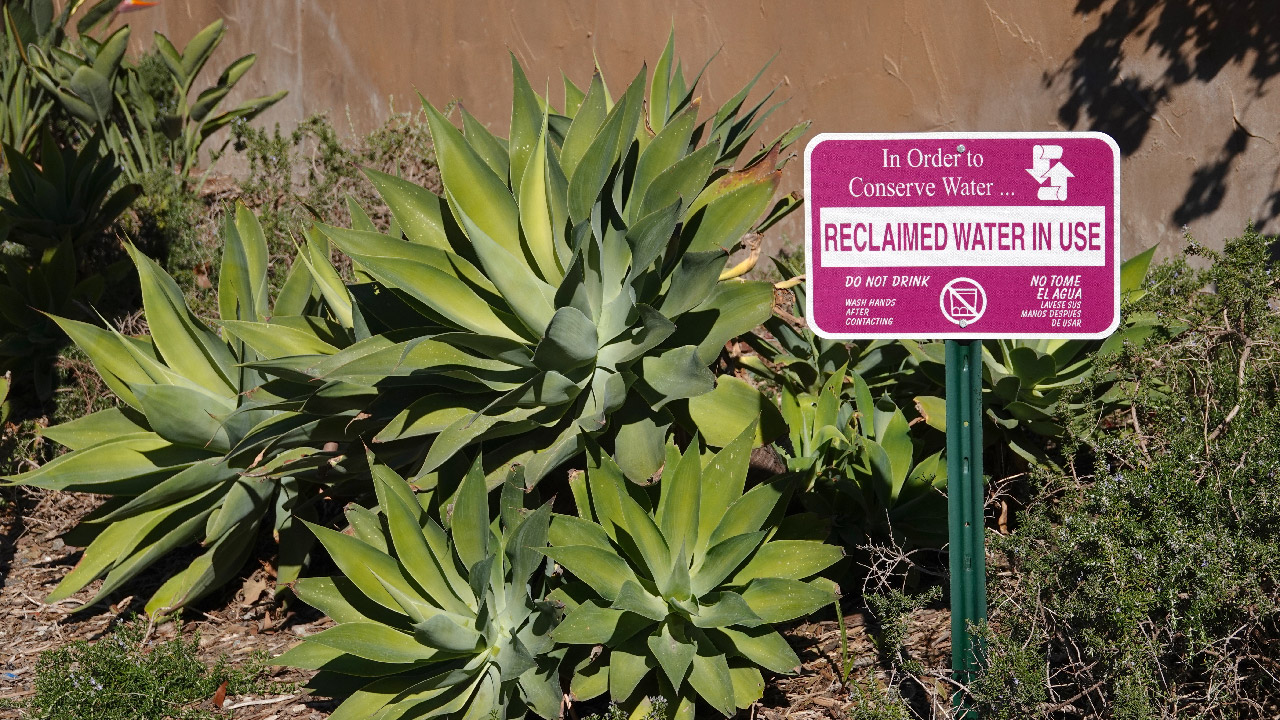 How to Use Grey Water in Your Garden to Cope Up with Water Restriction  How to Use Grey Water in Your Garden to Cope Up with Water Restriction