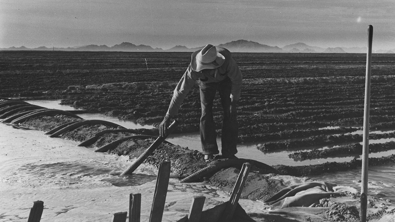 The History of Drip Irrigation