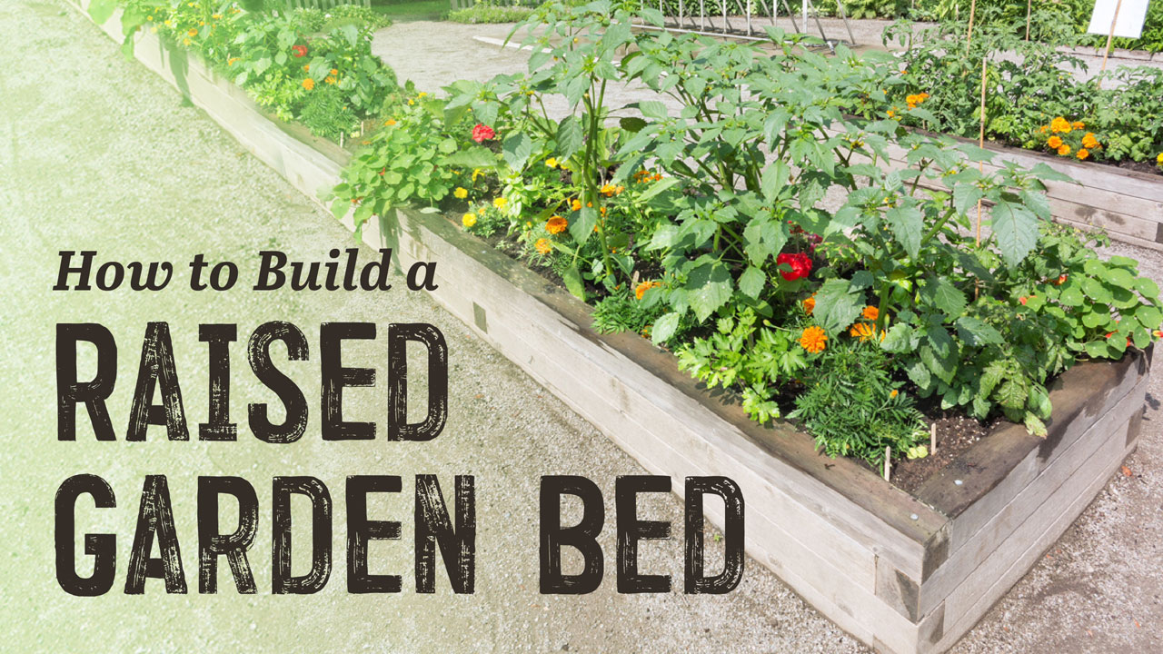 How to Build a Raised Garden Bed How to Build a Raised Garden Bed