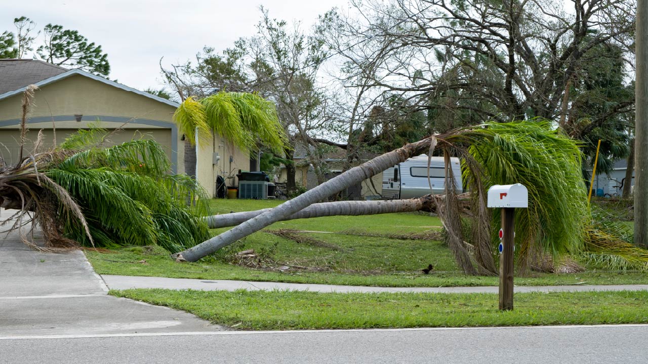 10 Hurricane-Resistant Landscaping Ideas