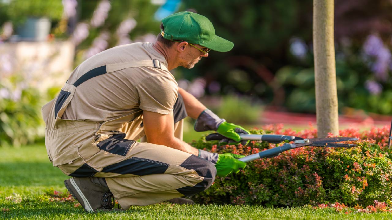 Top Gift Ideas for Landscape Professionals: Must-Have Tools and Equipment 