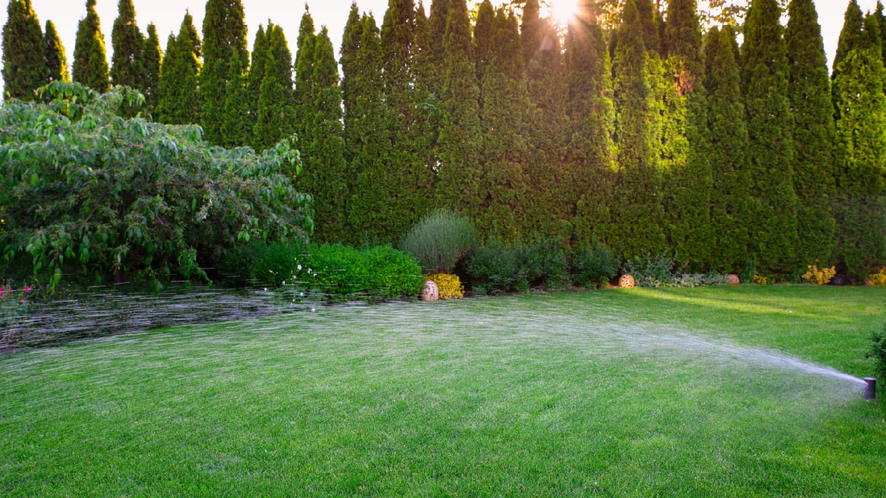 Expert Lawn Watering Tips: Turf and Garden Sprinklers Expert Lawn Watering Tips: Turf and Garden Sprinklers