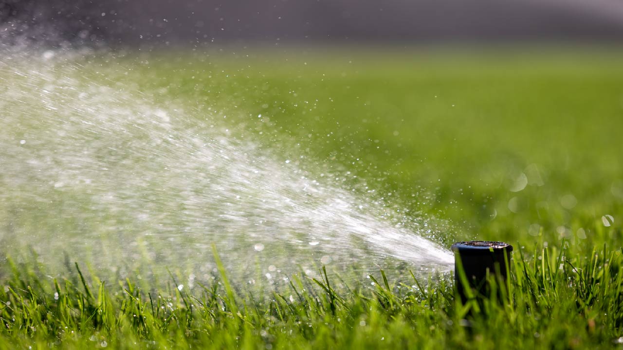 The Top 7 Lawn Sprinklers for Thriving Grass in 2026