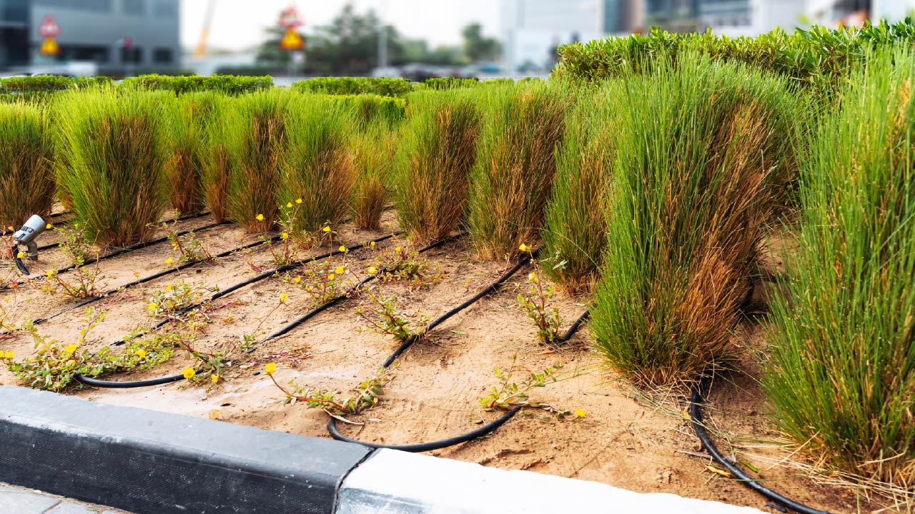 Drip Irrigation: How to Install a Closed-Loop Drip System