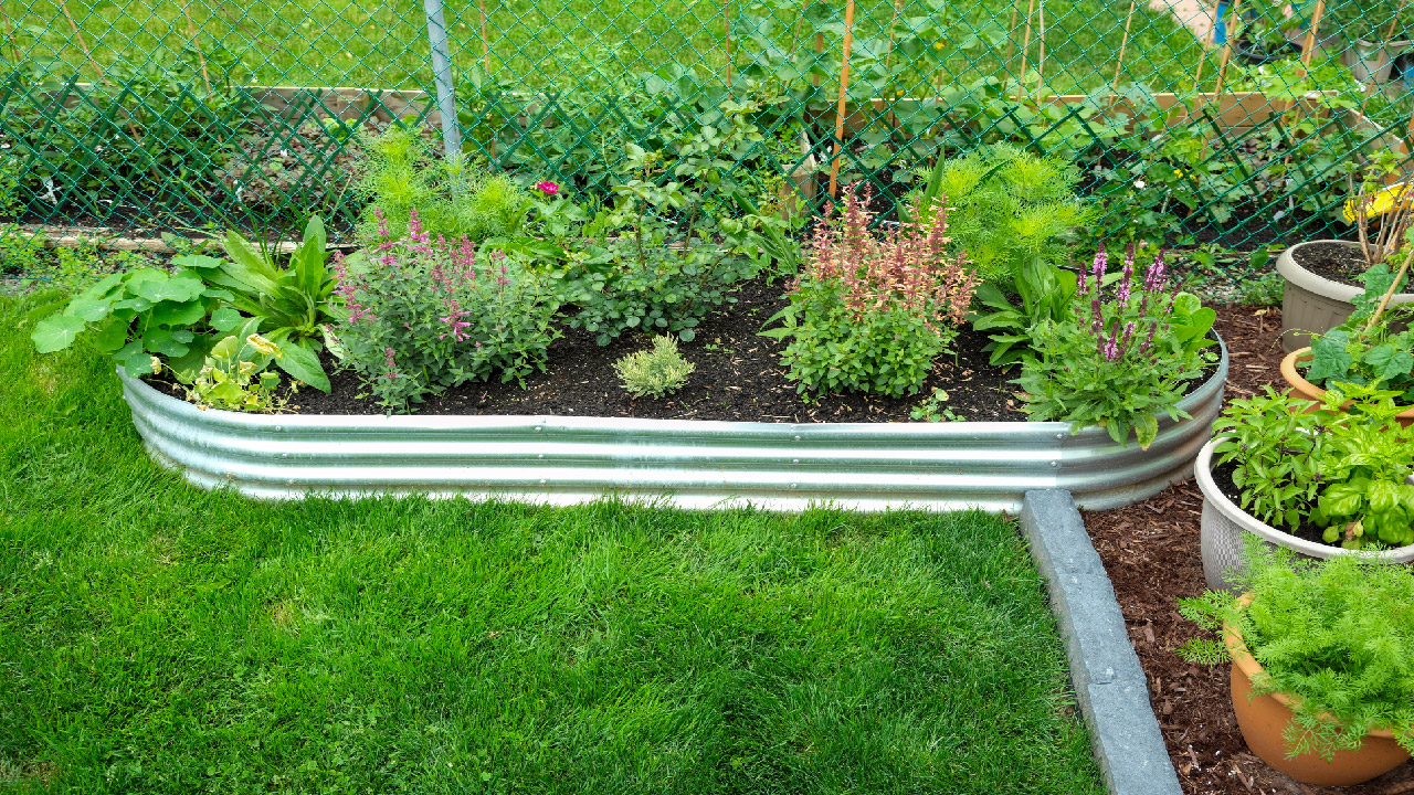 How to Care and Maintain Raised Garden Beds How to Care and Maintain Raised Garden Beds