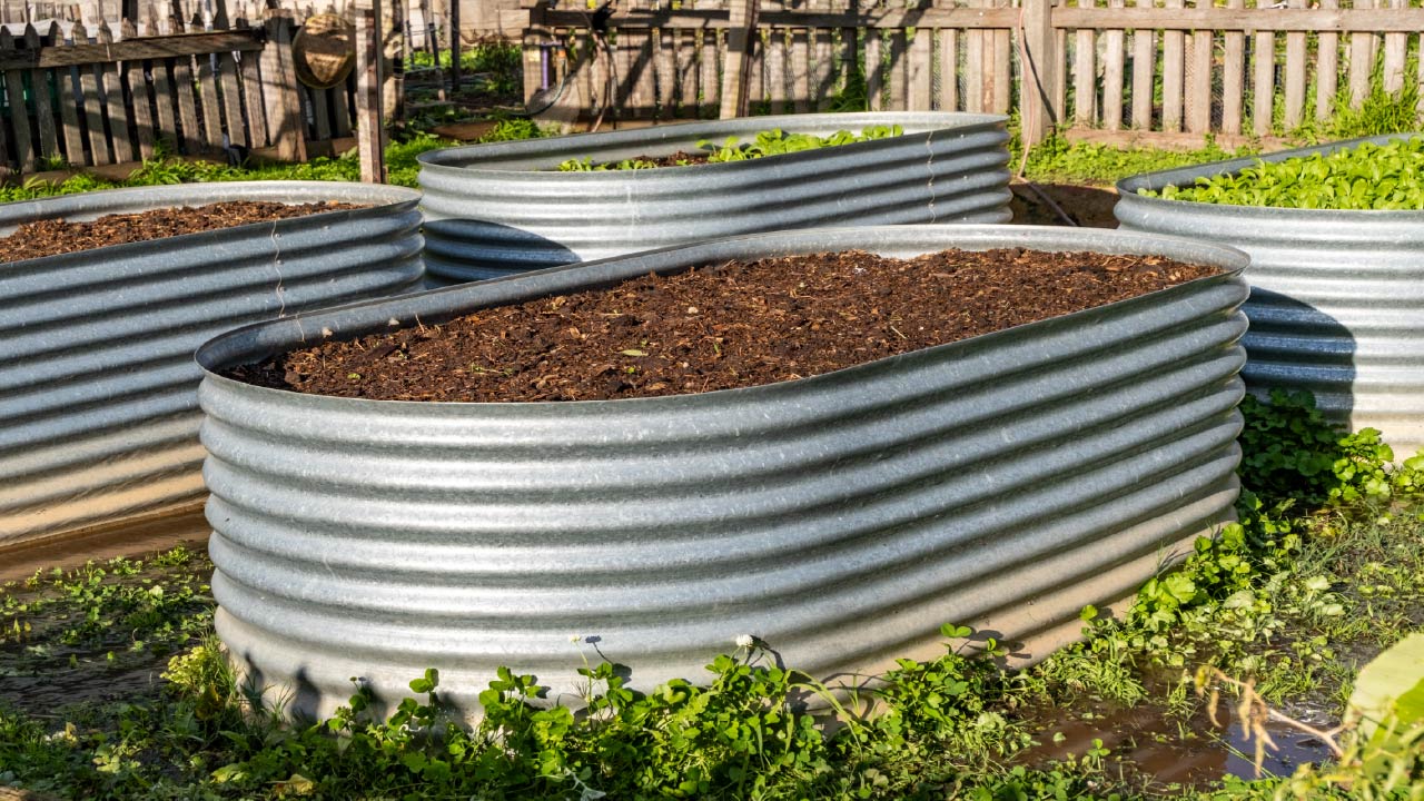 Top 5 Drip Irrigation Systems for Raised Garden Beds