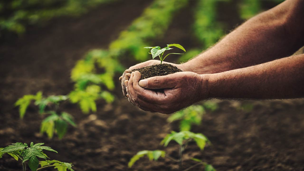The Top 8 Organic Gardening Basics: How to Start an Organic Garden The Top 8 Organic Gardening Basics: How to Start an Organic Garden