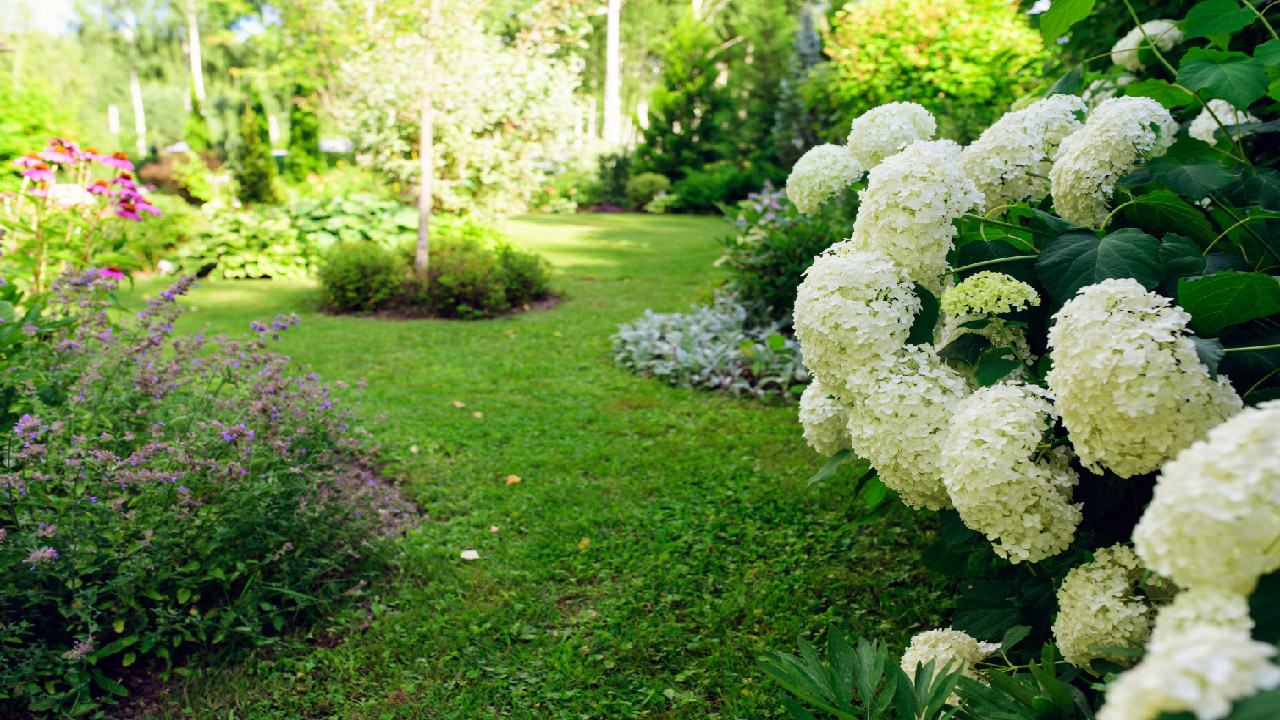Landscape Ideas for Growing a Shady Garden Landscape Ideas for Growing a Shady Garden