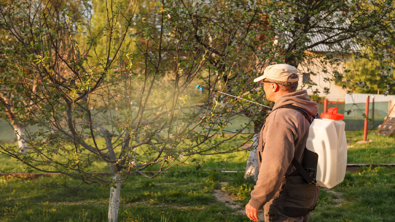 Early Spring Pest Control: Protect Your Home and Garden Early Spring Pest Control: Protect Your Home and Garden