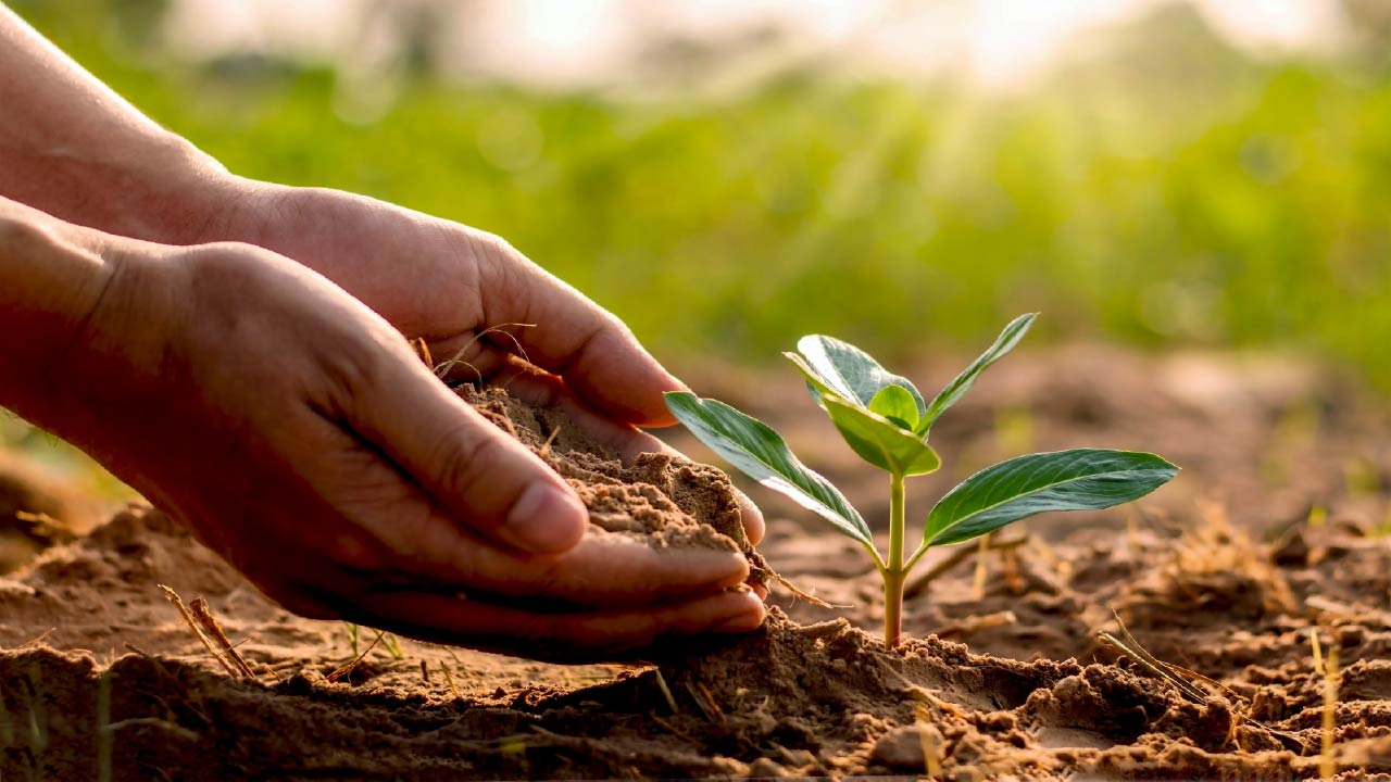 Gardening: When to Fertilize Your Garden Gardening: When to Fertilize Your Garden
