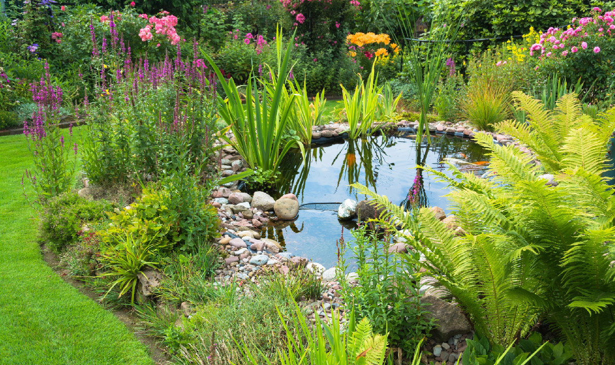 How to Find a Leak in a Pond Liner  How to Find a Leak in a Pond Liner