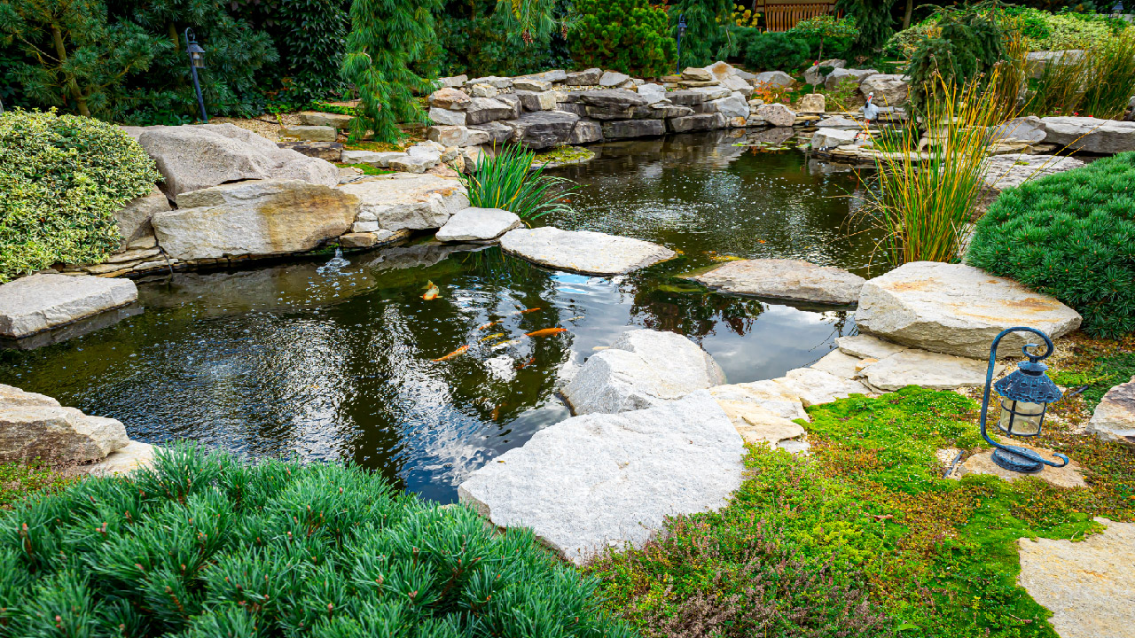 Select the Right Pump for Your Pond Select the Right Pump for Your Pond
