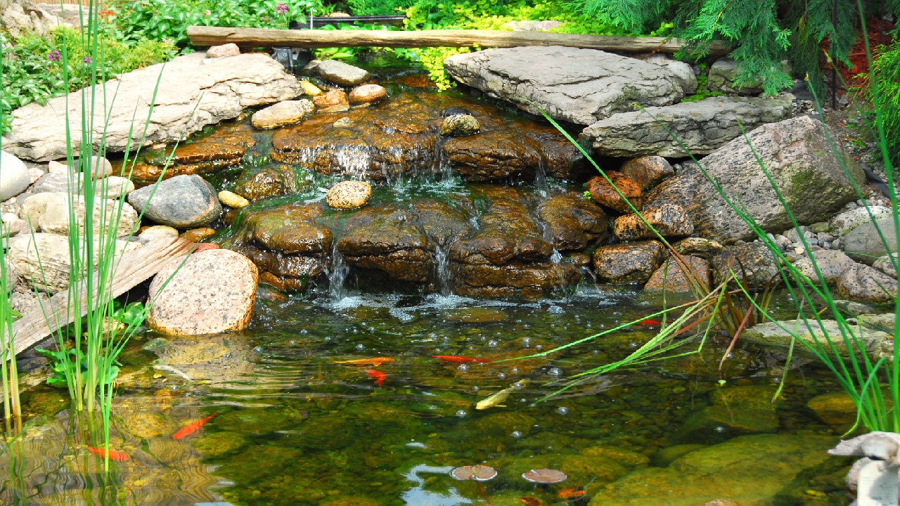 12 Common Pond Liner Questions You Need to Ask  12 Common Pond Liner Questions You Need to Ask