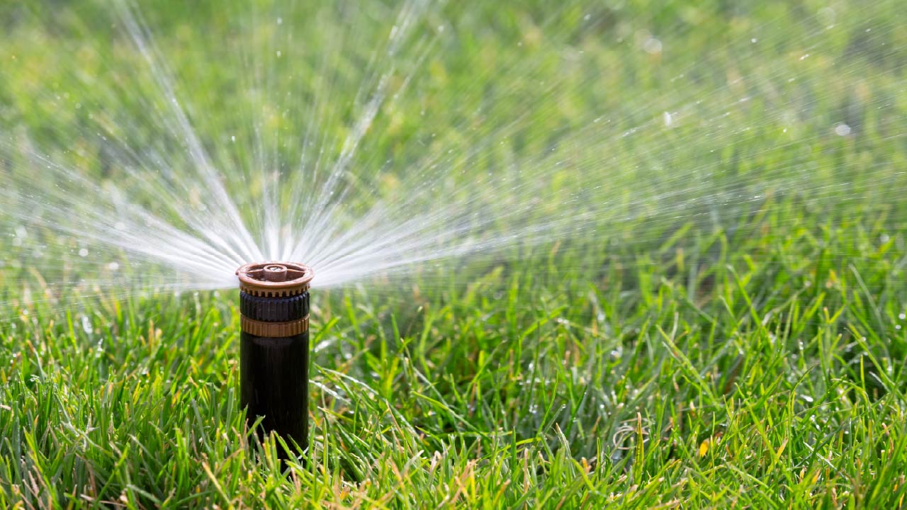 The Top 6 Types of Sprinkler and Drip Irrigation Systems for Your Landscape