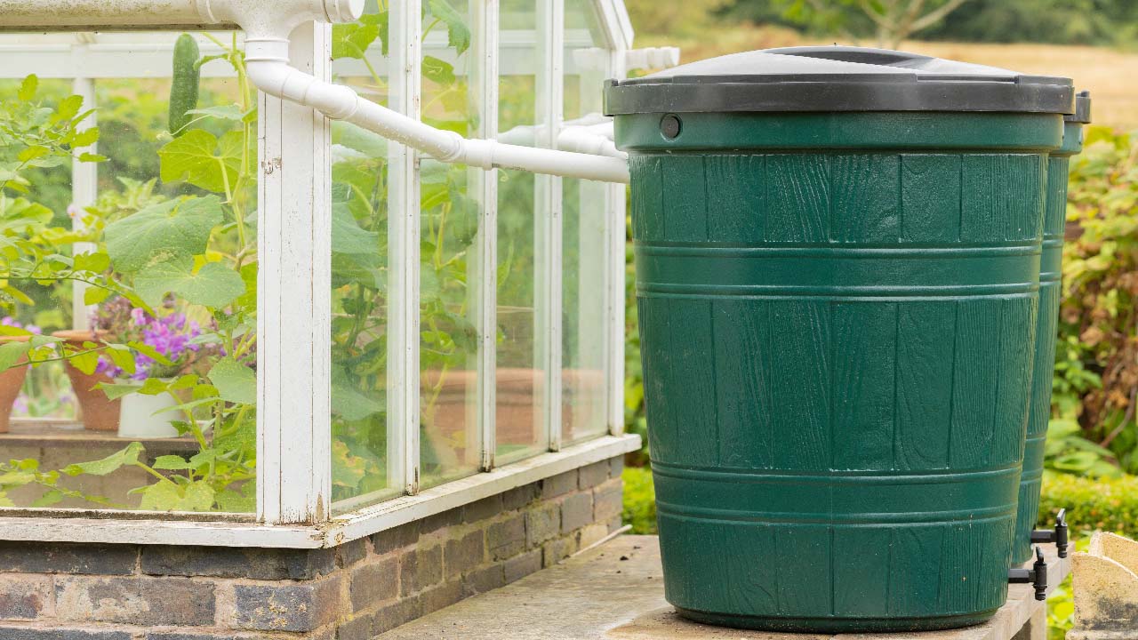 Rainwater Harvesting: Using Rain Barrels for Drip Irrigation Rainwater Harvesting: Using Rain Barrels for Drip Irrigation