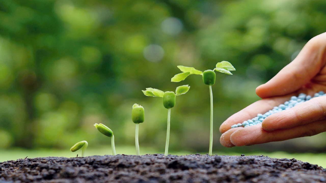 The 8 Best Fertilizers for Your Garden The 8 Best Fertilizers for Your Garden