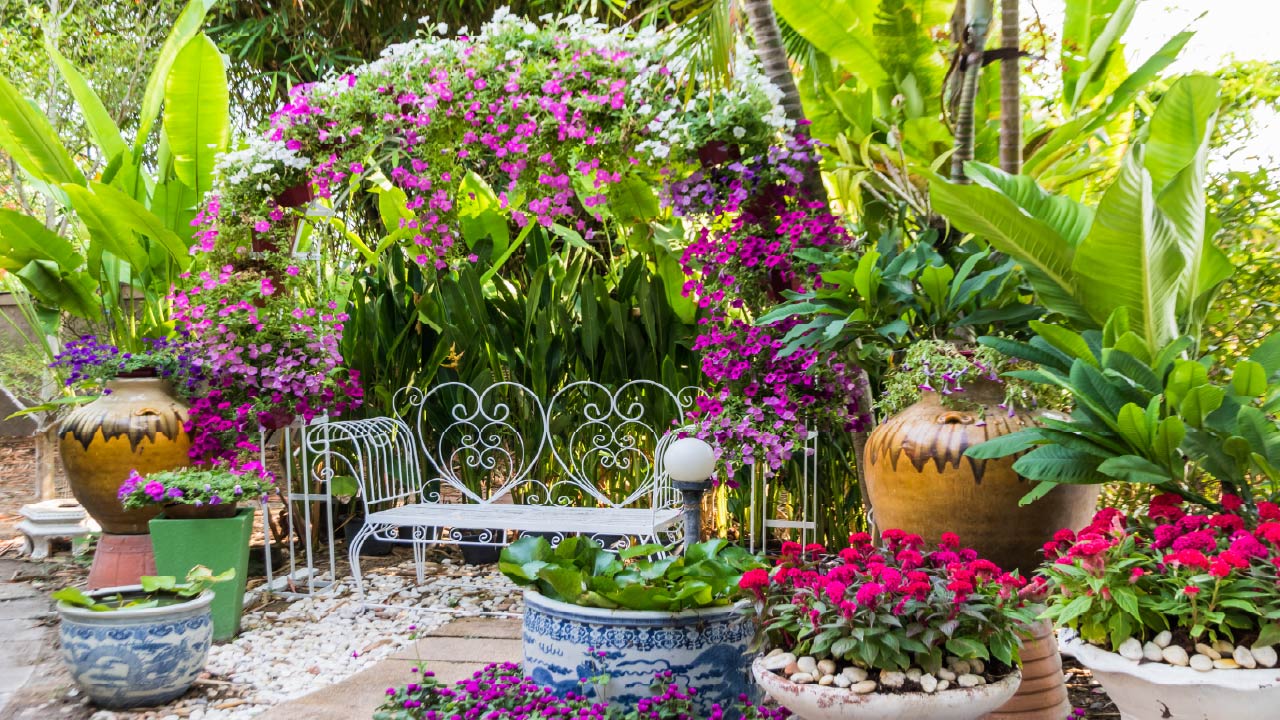 The 8 Best Small Garden ideas to maximize your Gardening space