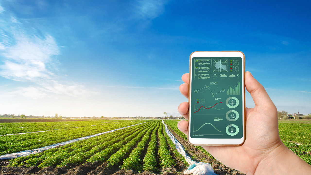 The Role of Artificial Intelligence (AI) in Smart Irrigation Systems  The Role of Artificial Intelligence (AI) in Smart Irrigation Systems