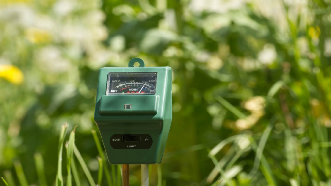 How to Use a Soil Moisture Meter to Avoid Watering Problems How to Use a Soil Moisture Meter to Avoid Watering Problems