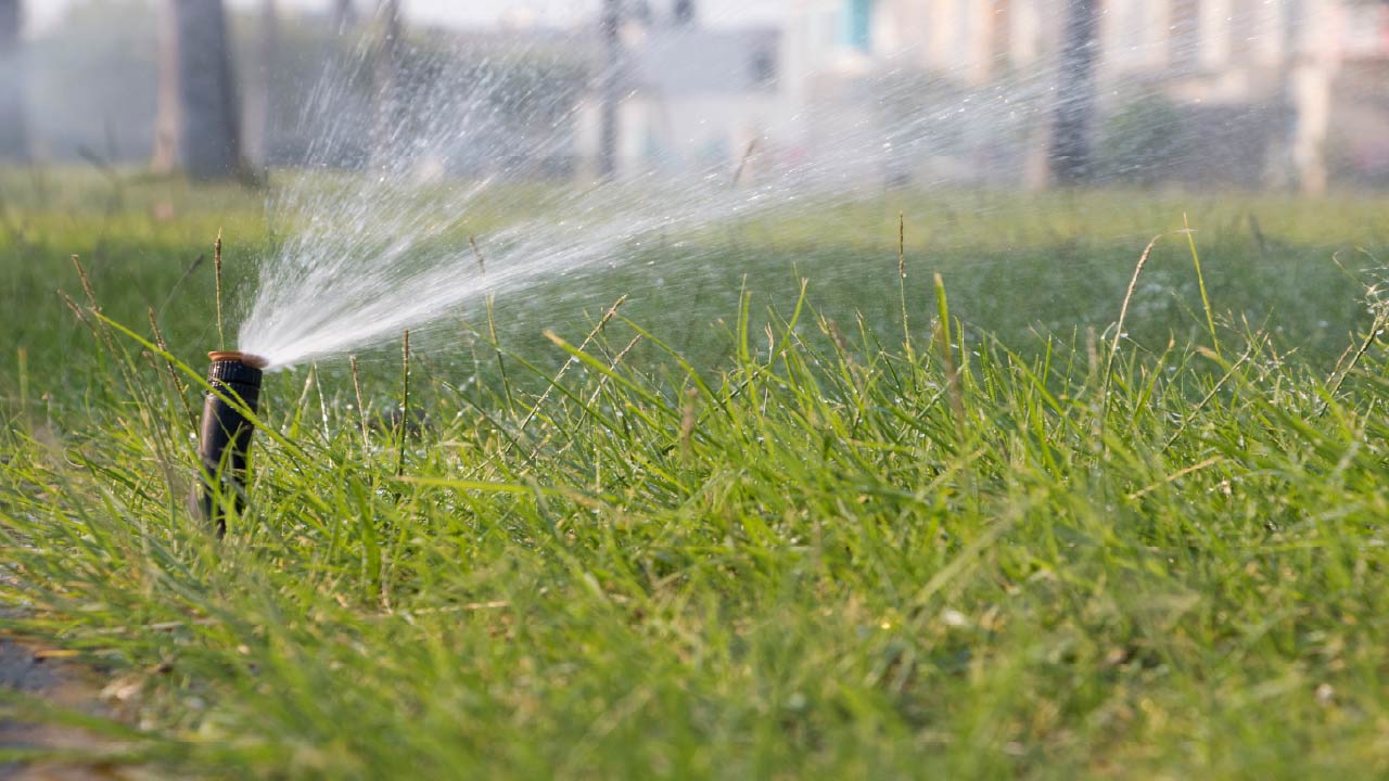 Rotor vs Spray Sprinkler Heads: The Best One for Your Landscape?