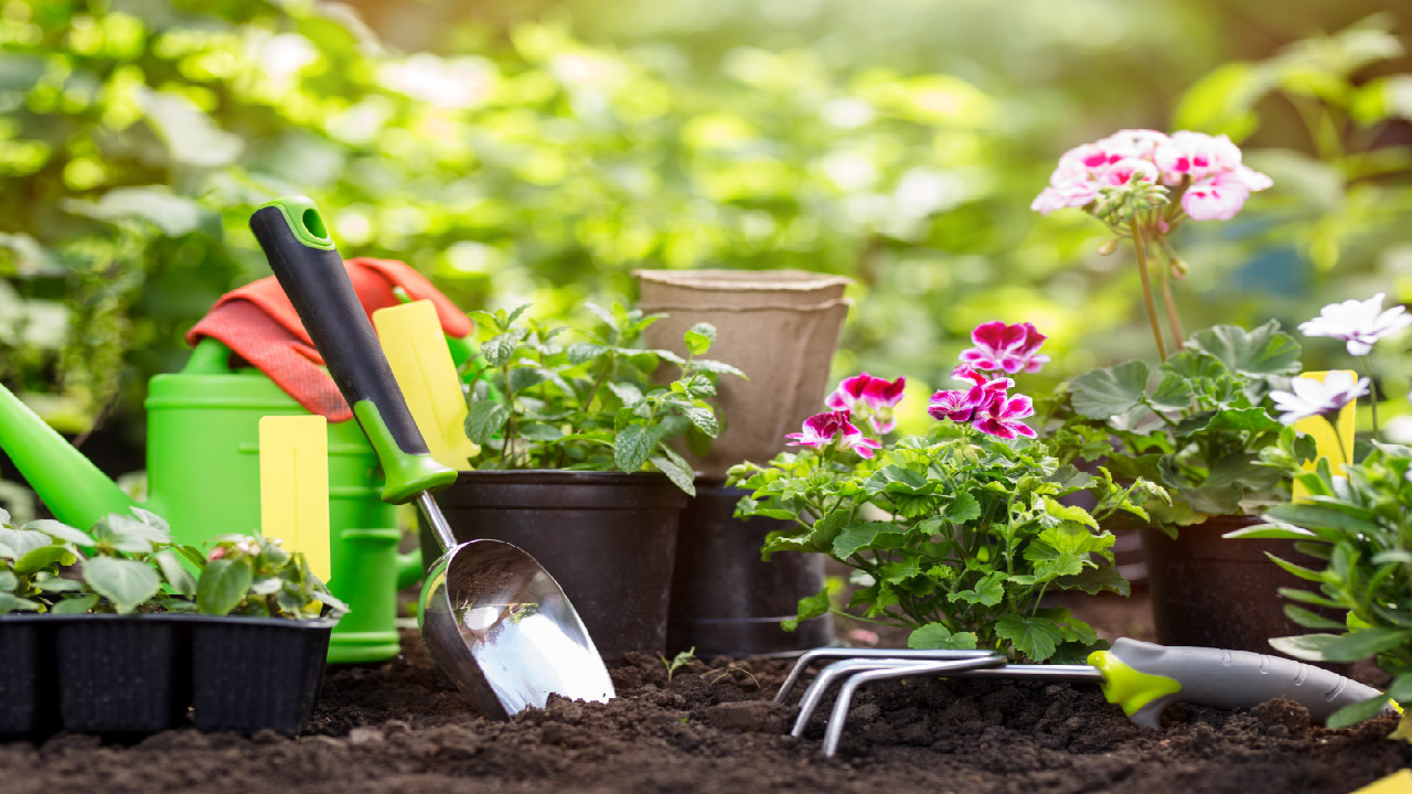 10 Early Spring Gardening Tips for a Thriving Garden 10 Early Spring Gardening Tips for a Thriving Garden