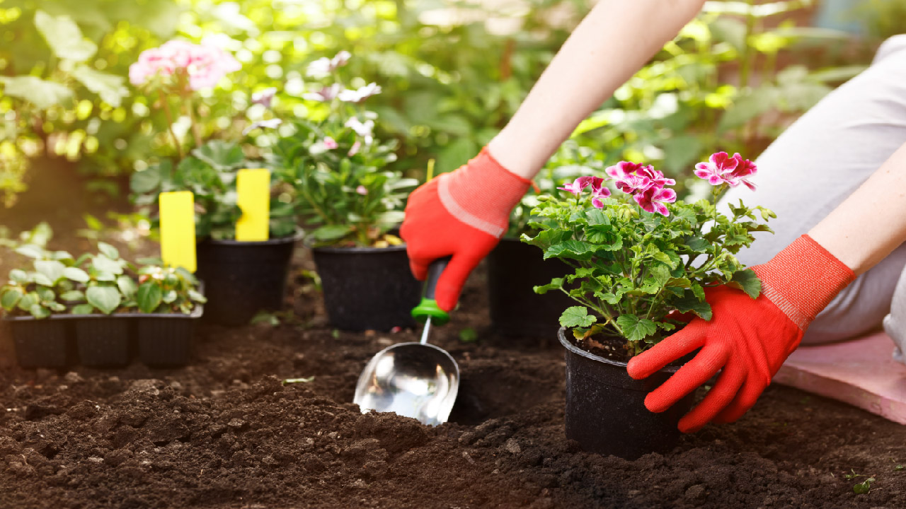 Garden Prep: How to Be Productive in Your Garden This Season