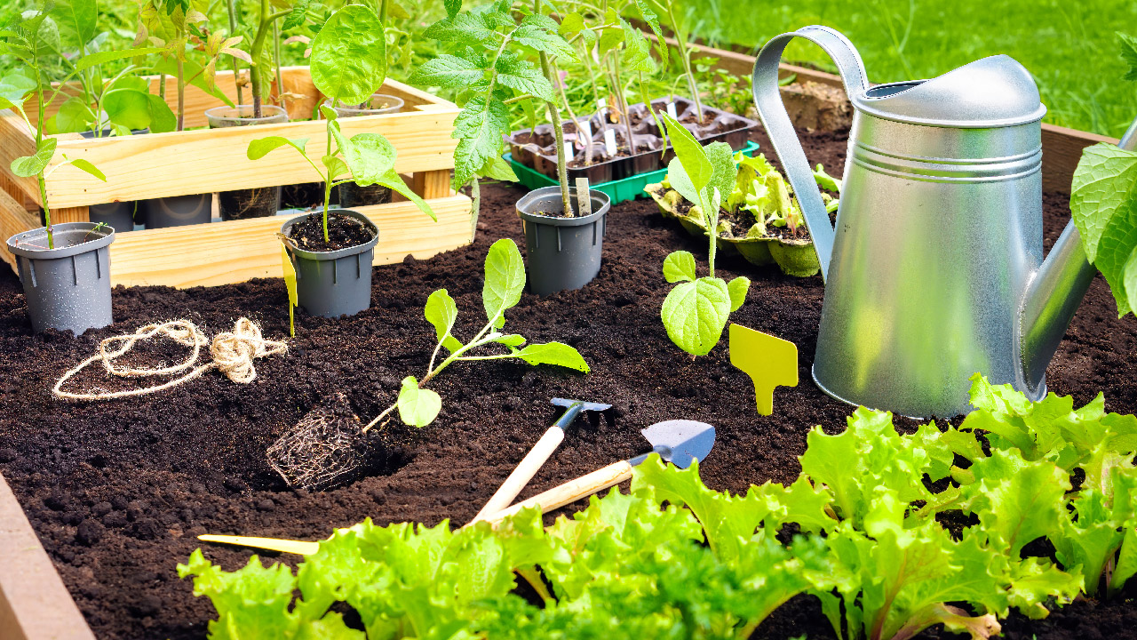 Planning and Planting Your Spring Garden  Planning and Planting Your Spring Garden