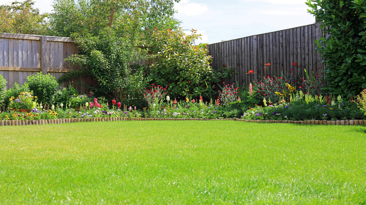 Improve Your Lawn’s Health: Spring Lawn Care Tips Improve Your Lawn’s Health: Spring Lawn Care Tips