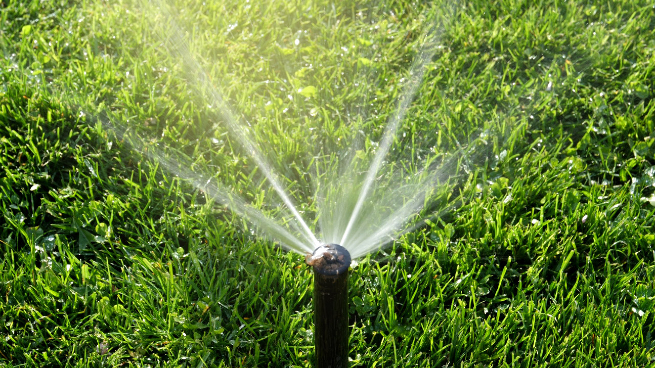 Top Sprinkler System Issues and Solutions  Top Sprinkler System Issues and Solutions