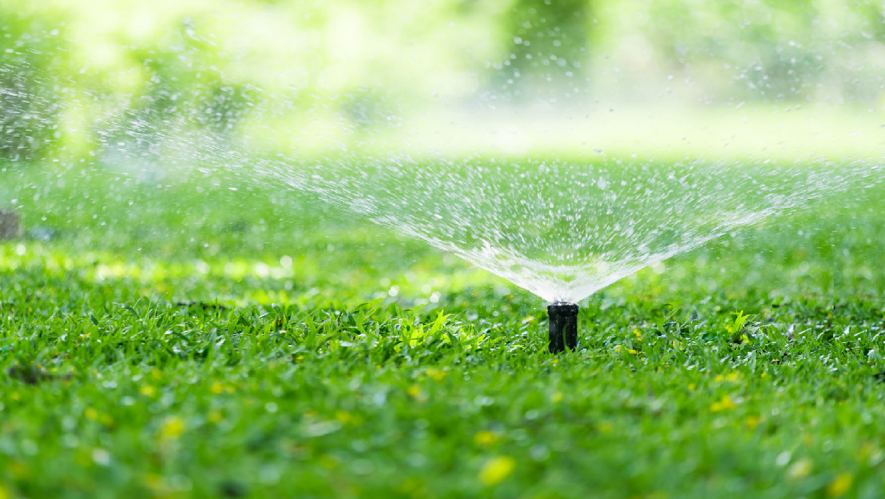 Tips for Choosing the Correct Sprinkler Head  Tips for Choosing the Correct Sprinkler Head
