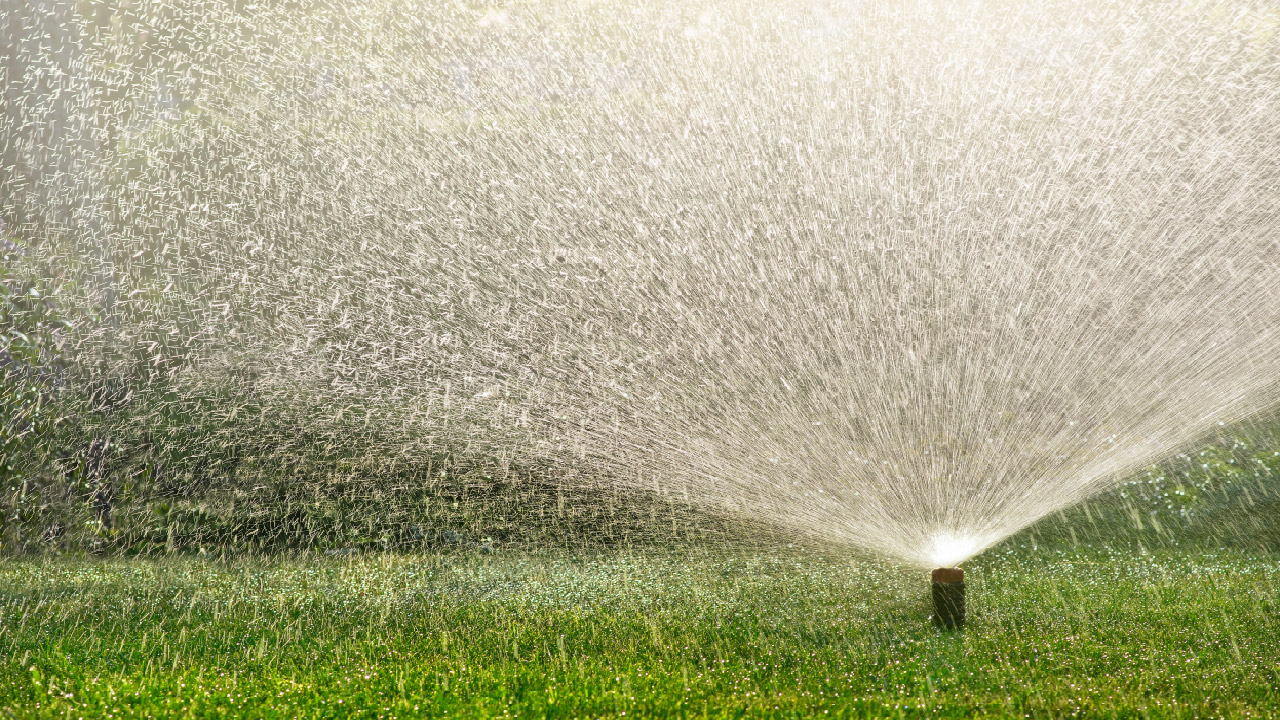 How to Transform Your Sprinkler System to Drip