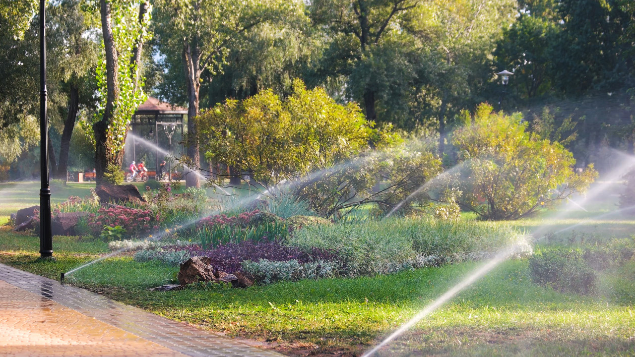 Lawn Watering Schedule and Best Practices to Optimize Lawn Health Lawn Watering Schedule and Best Practices to Optimize Lawn Health