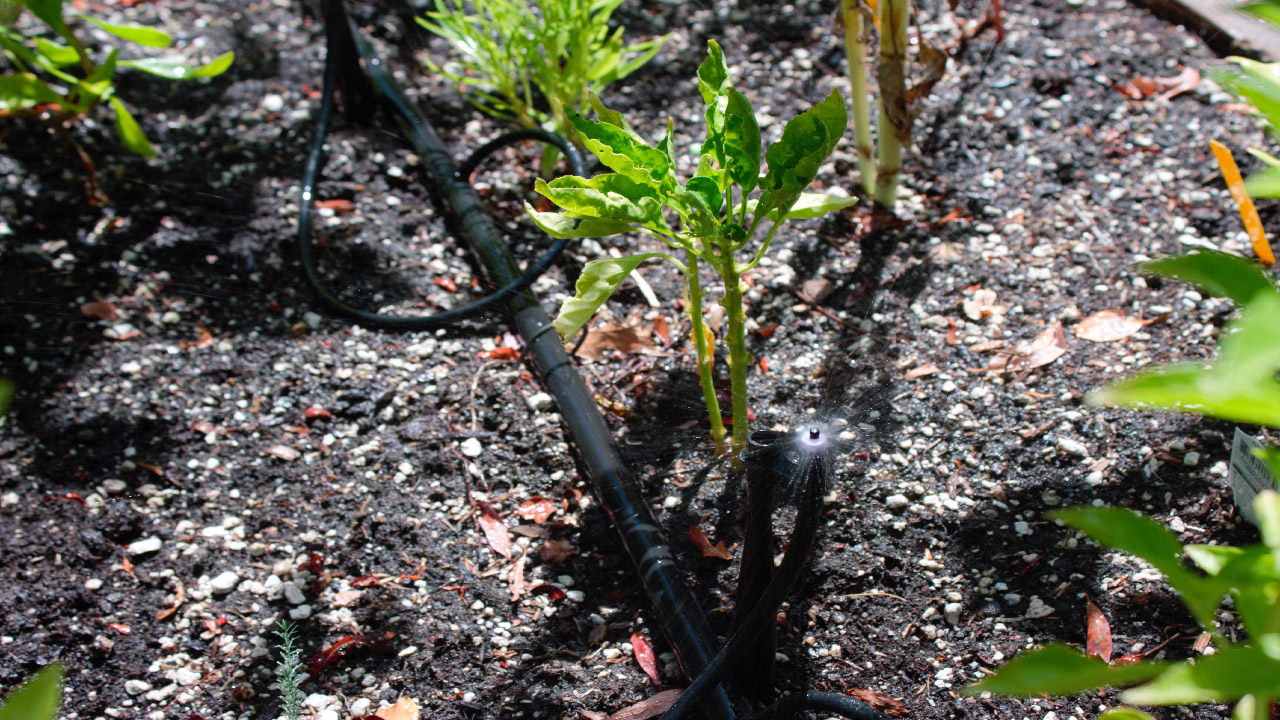 Small Area Sprinklers for Your Yard Small Area Sprinklers for Your Yard