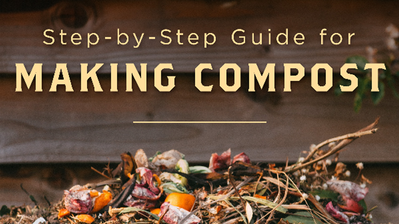 Step-by-Step Guide for Making Compost Step-by-Step Guide for Making Compost