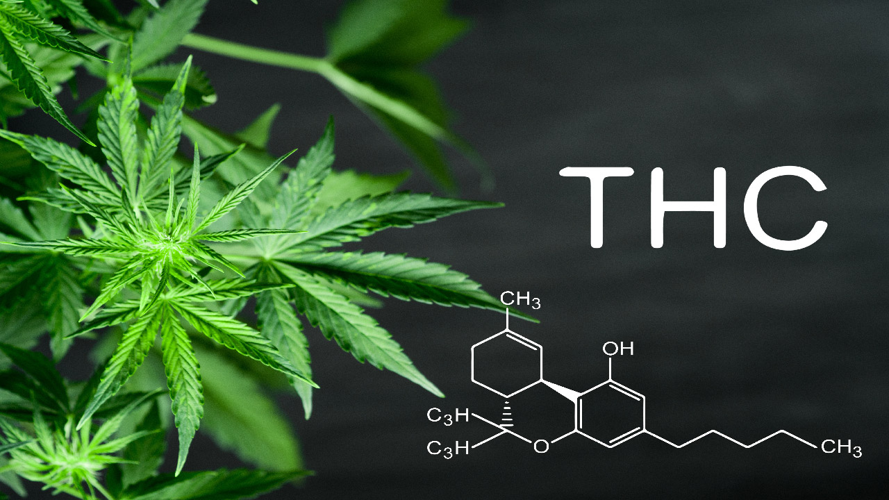 How Does Frost Affect CBD and THC  How Does Frost Affect CBD and THC