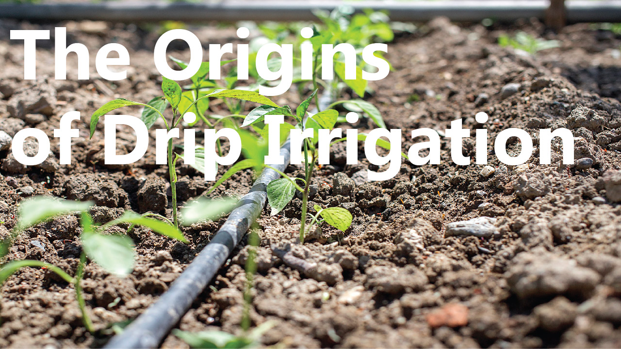 The Origins of Drip Irrigation The Origins of Drip Irrigation