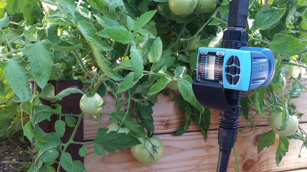 Different Types of Timers for Water Conservation: A DripWorks Guide Different Types of Timers for Water Conservation: A DripWorks Guide