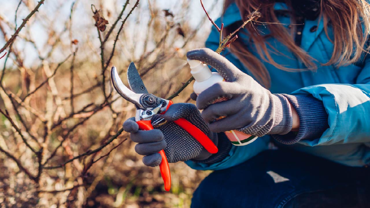 Simple Garden Tool Care and Maintenance Tips