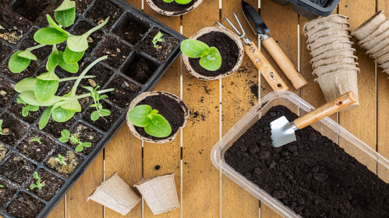 How to Select the Perfect Ergonomic Tools and Gifts for Landscape and Gardening Professionals