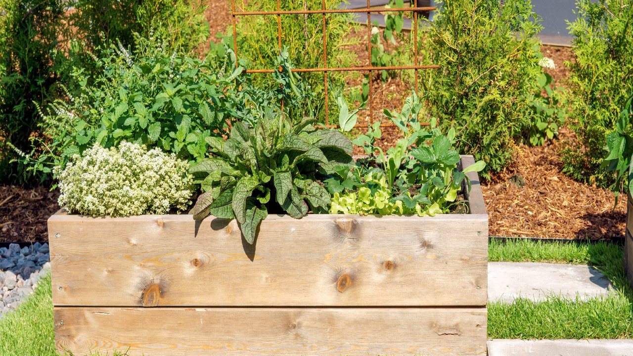 How to Use a Garden Trellis  How to Use a Garden Trellis
