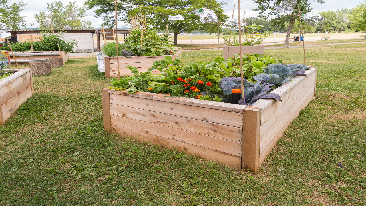 5 Ways to Make Gardening Easier for Older Adults 5 Ways to Make Gardening Easier for Older Adults