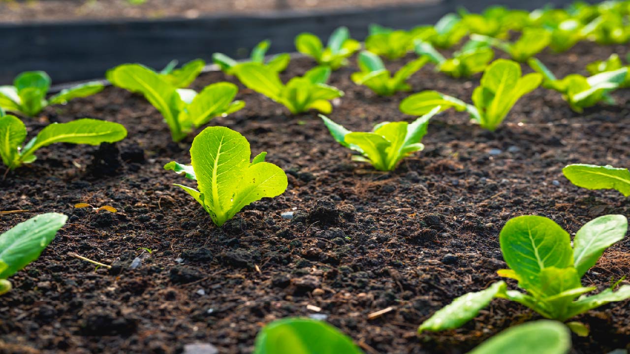 It’s Never Too Late to Get Started